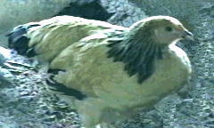 Photo of 